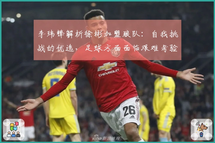 李玮锋解析徐彬加盟狼队:自我挑战的优选,足球方面面临艰难考验