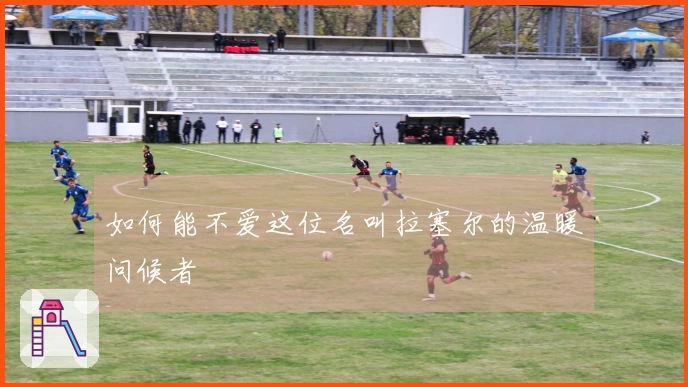 如何能不爱这位名叫拉塞尔的温暖问候者